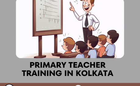 Unlock Your Potential: Primary Teacher Training in Kolkata with Vidyasathi