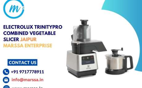 Electrolux TrinityPro Combined Vegetable Slicer Jaipur