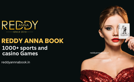 Dive Into Adventure: Reddy Anna Book